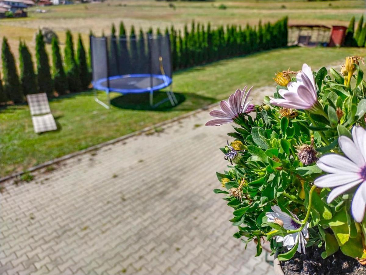 Natur Vendeghaz Miercurea Ciuc Exterior foto