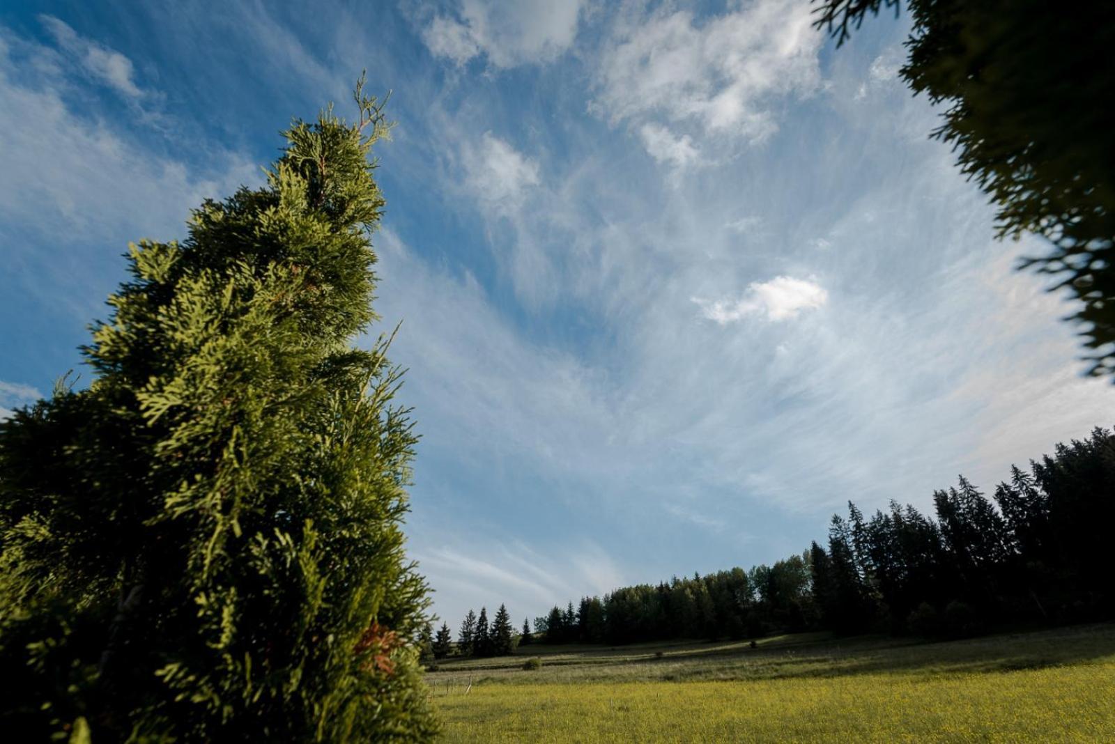 Natur Vendeghaz Miercurea Ciuc Exterior foto